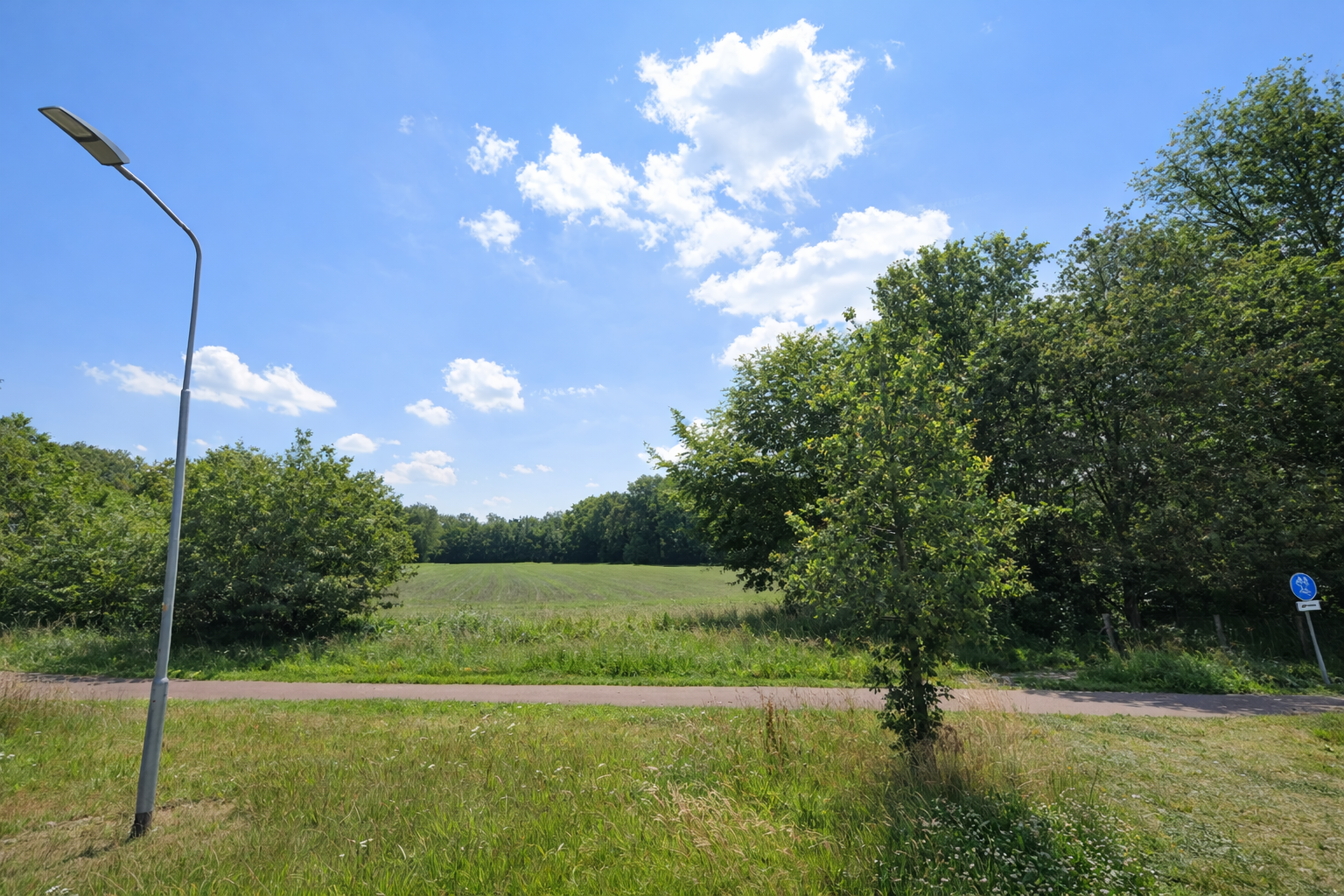 Bosweg, Voorthuizen