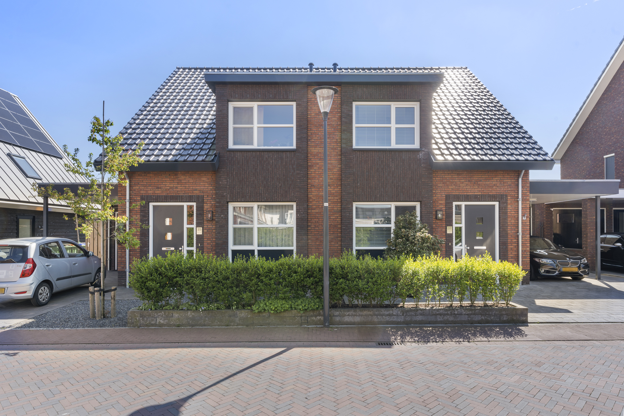 Dotterbloem, Veenendaal
