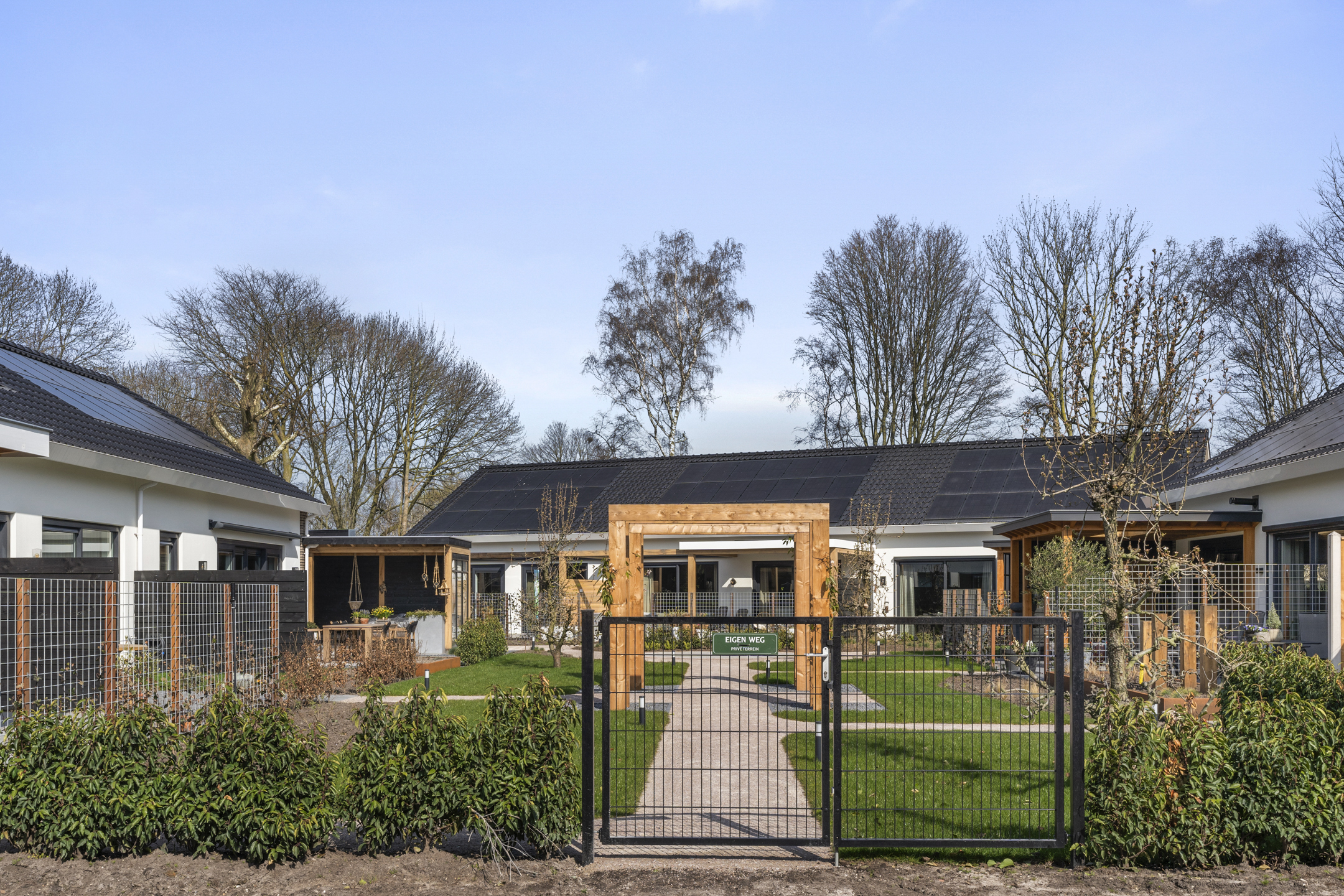 Pampagras, Veenendaal
